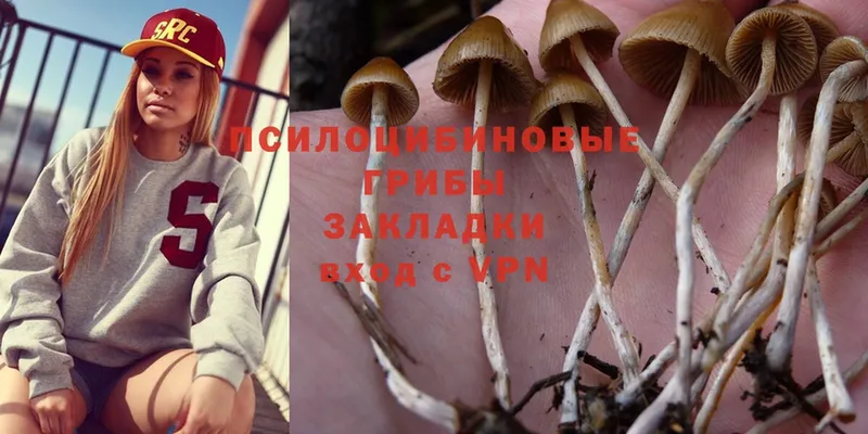 Галлюциногенные грибы MAGIC MUSHROOMS  как найти наркотики  Куртамыш 